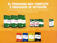 Clic para ampliar